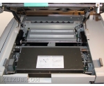 Riso RP 350