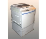 Riso RP 310