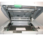 Riso RP 310