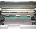 Riso RP 310