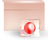 Case