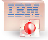 IBM